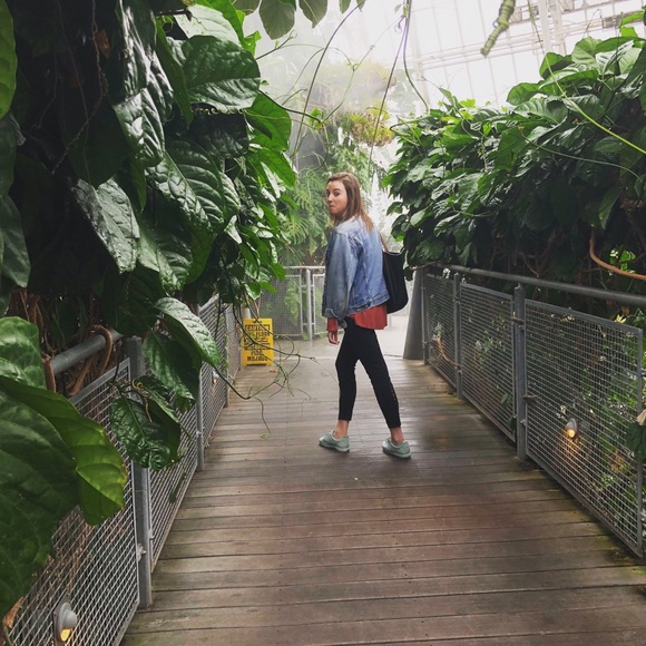 Meet your Posher, Grace - Picture 1 of 2